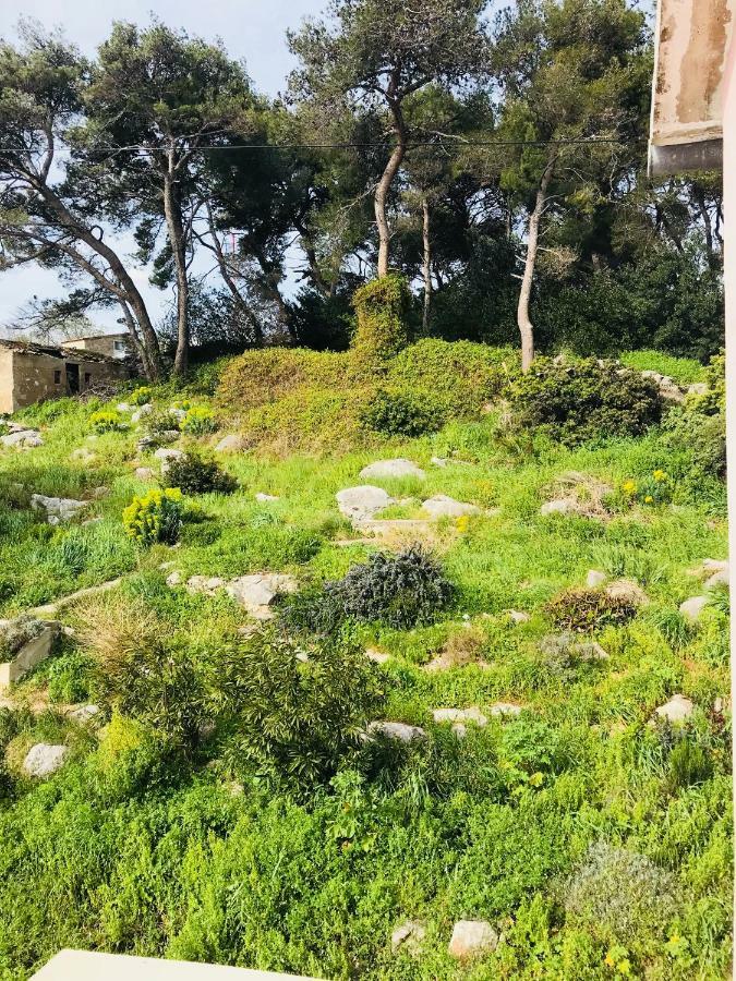 Apartmani Sali Seaview Esterno foto